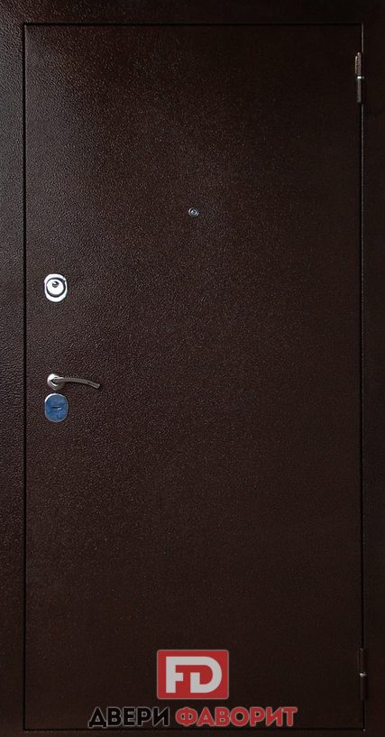 металлическая дверь в коттедж с цинкогрунтом