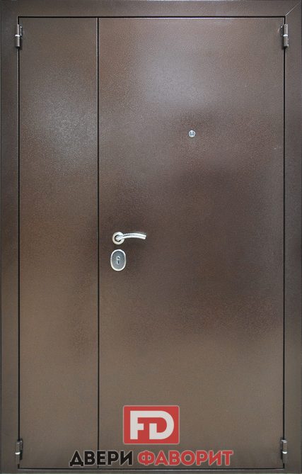 двустворчатая стальная дверь в коттедж с цинкогрунтом